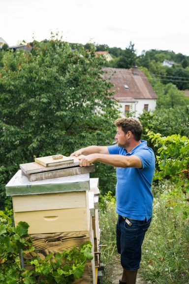 (c) Thomas Suchanek / www.thomassuchanek.com